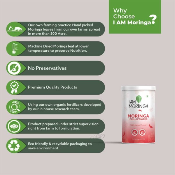 Moringa Chilli Powder