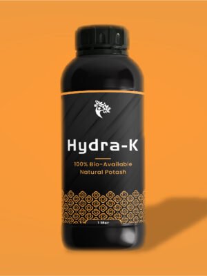 Hydra - K