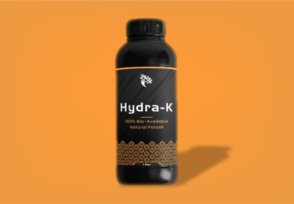 Hydra - K