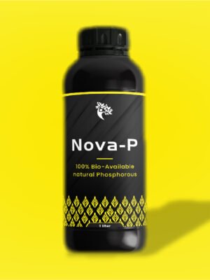 Nova - P
