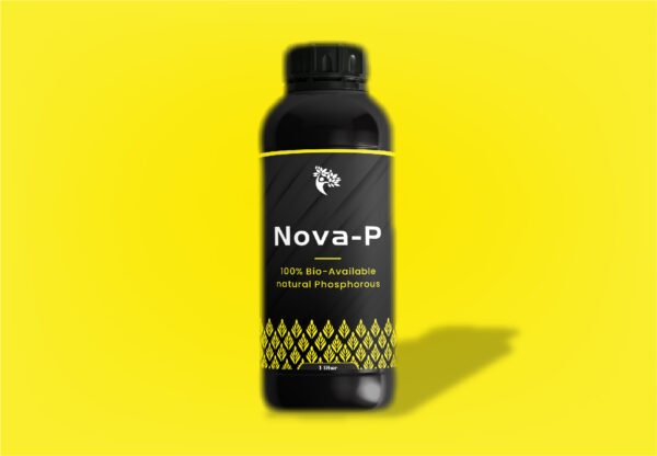 Nova - P