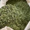 Moringa Dried Leaves